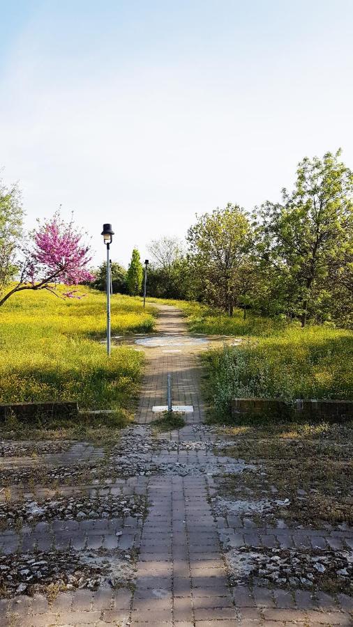 Casarava Sul Parco 3 Camere 2 Bagni Риччоне Экстерьер фото